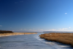 ヤウシュベツ川湿原