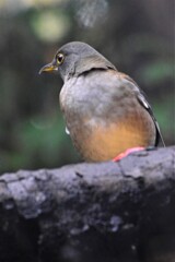 _5075903 (2)