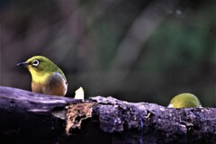 _5075922 (2)