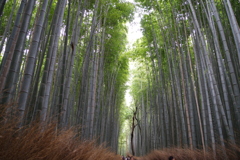 京都