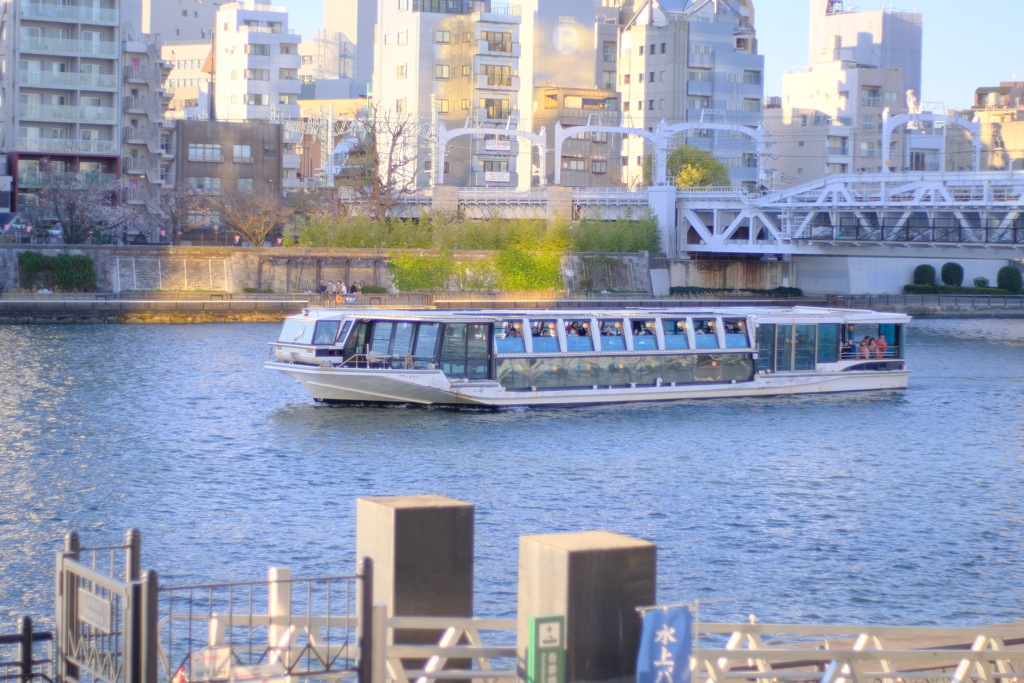 RIKENON 50mm F1.7から見える世界。