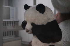 上野散策。