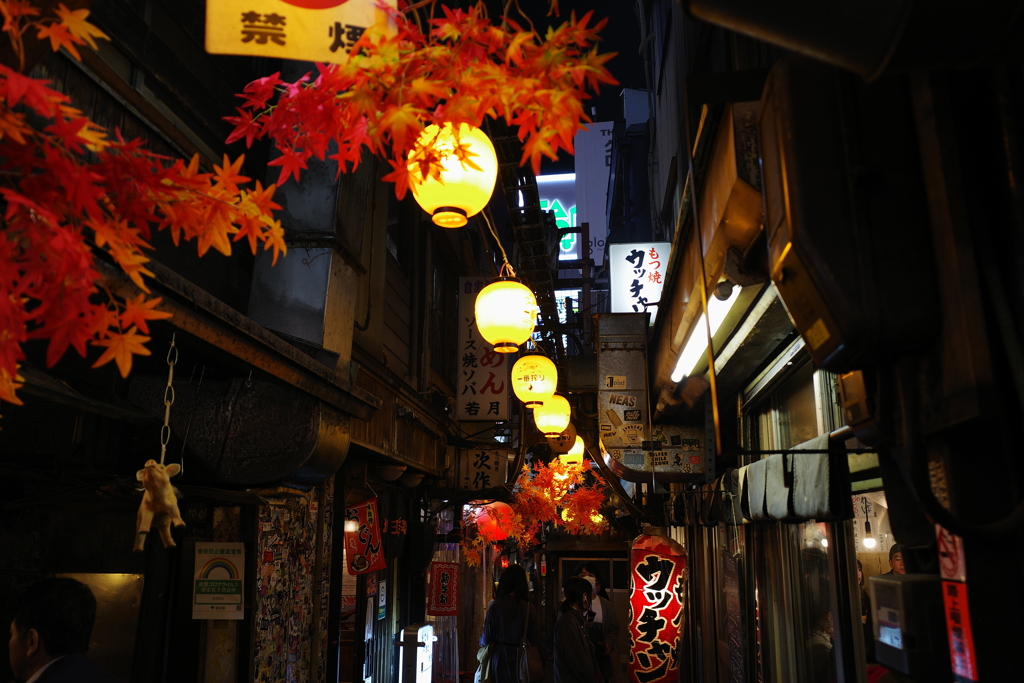 新宿西口思い出横丁