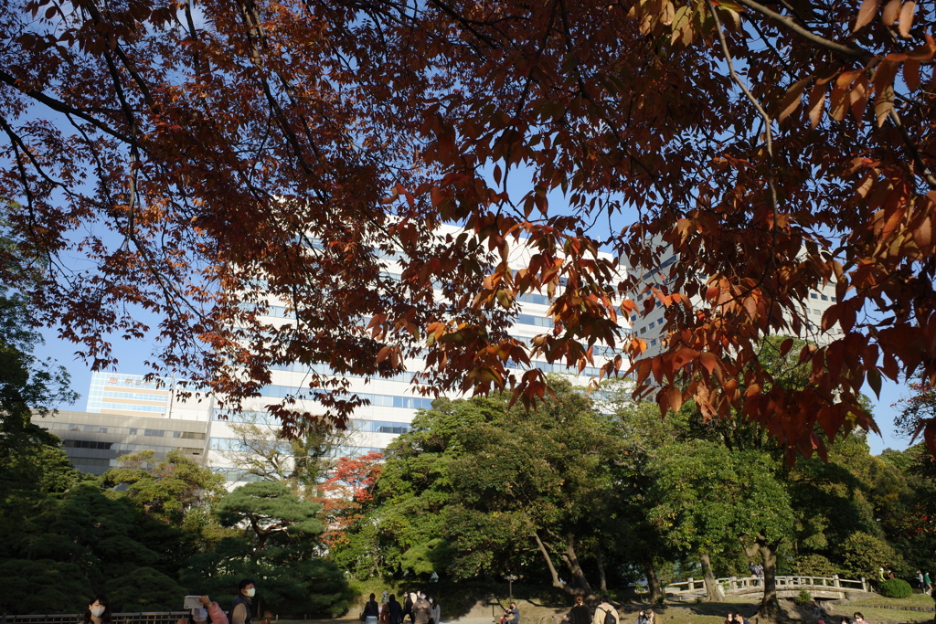 浜離宮恩賜庭園(2)