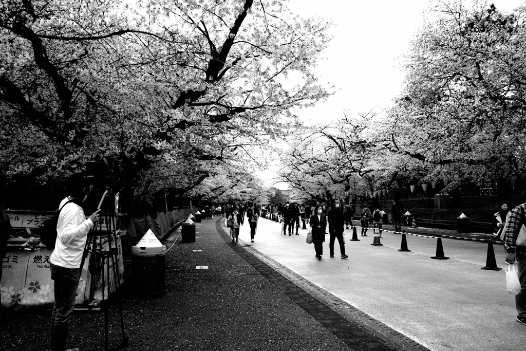 上野恩賜公園