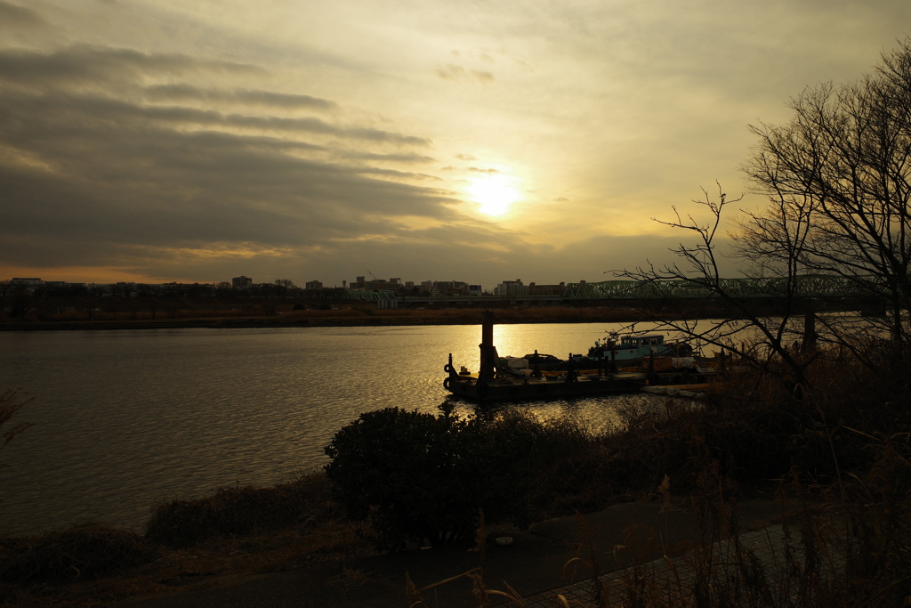 荒川河川敷(2)