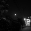 月が綺麗