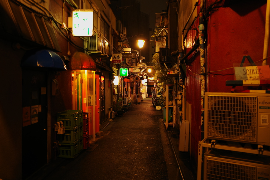 新宿ゴールデン街(2)