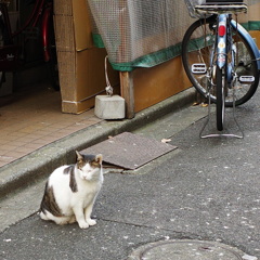 小伝馬町路地裏