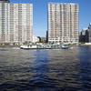 ヒミコ | 東京都観光汽船（TOKYO CRUISE）