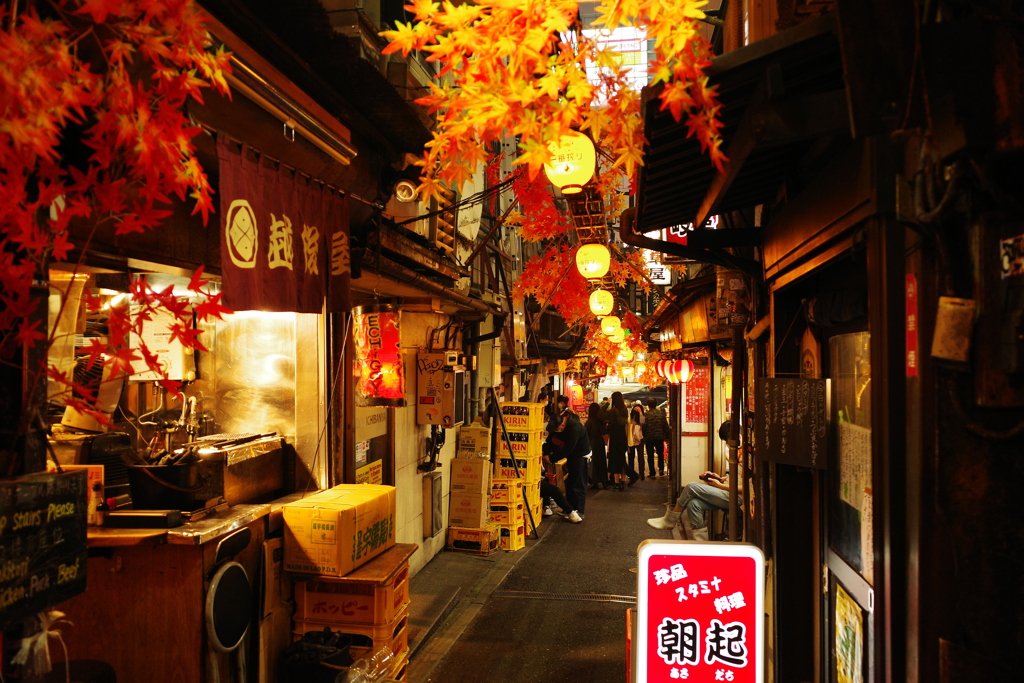 新宿西口思い出横丁(2)