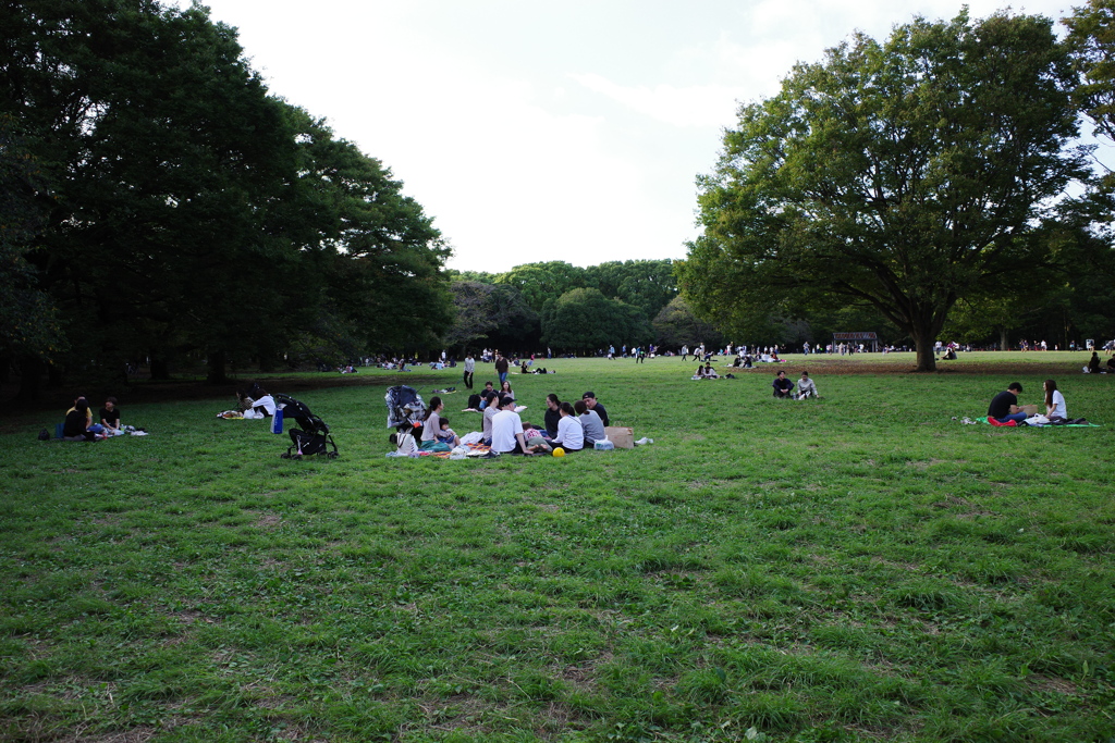 代々木公園(2)
