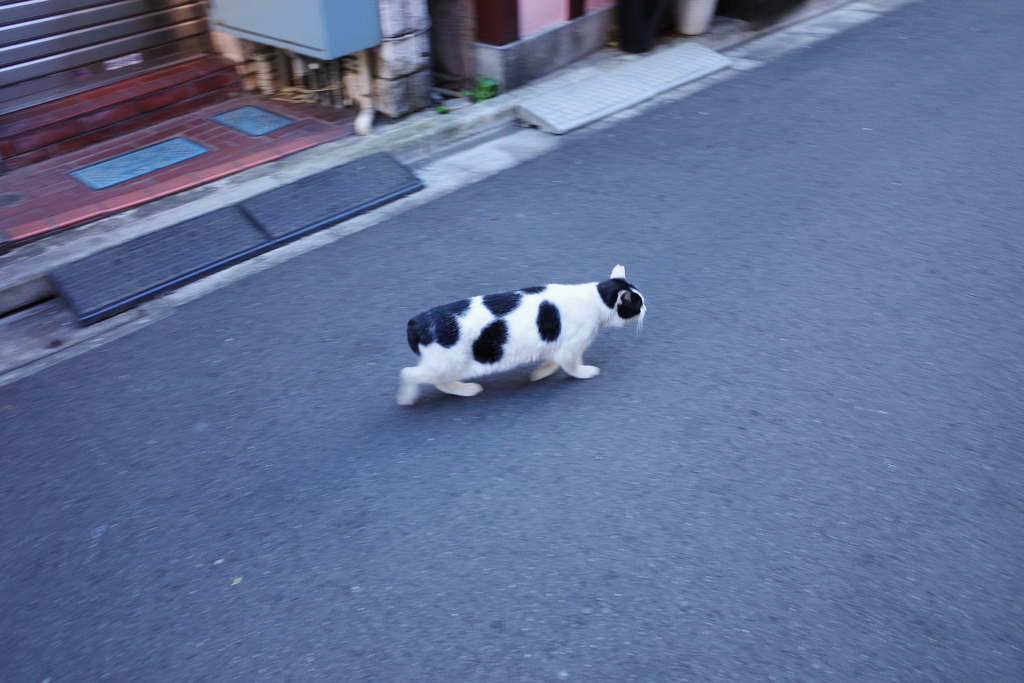 御徒町路地裏(2)