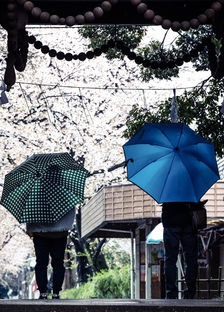 雨宿り