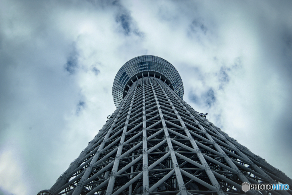 空高く