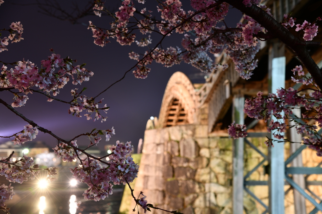 夜桜002