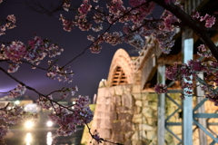 夜桜002