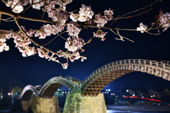 夜桜001