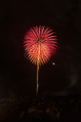 夏の夜に咲く花５７