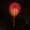 夏の夜に咲く花５７