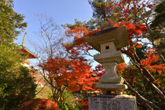 成田山新勝寺（奥の院）