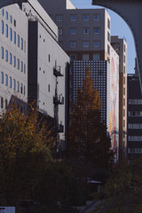 天王洲アイル2025秋