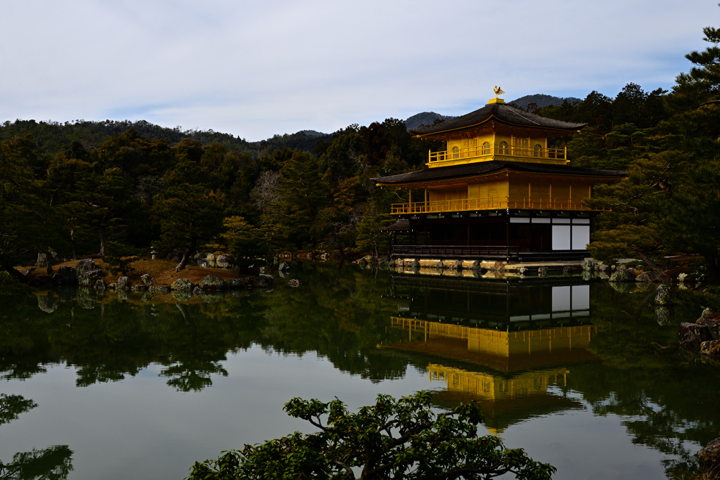 鹿苑寺