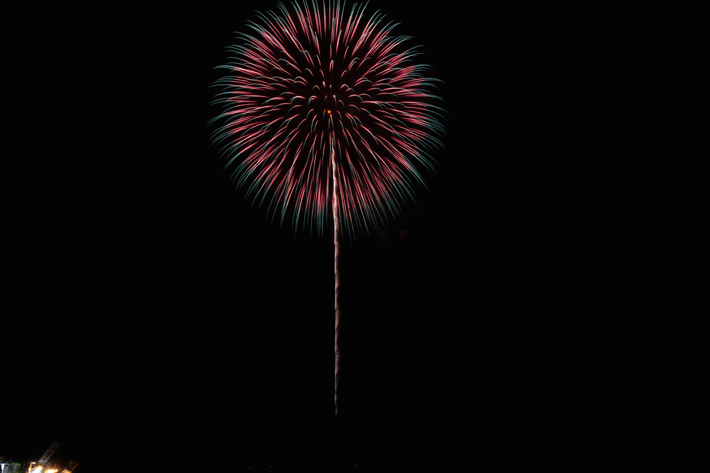 夏の夜に咲く花３
