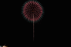 夏の夜に咲く花３