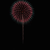夏の夜に咲く花３