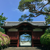 花咲く寺（護国寺）４