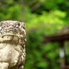 宇治上神社・本殿狛犬２