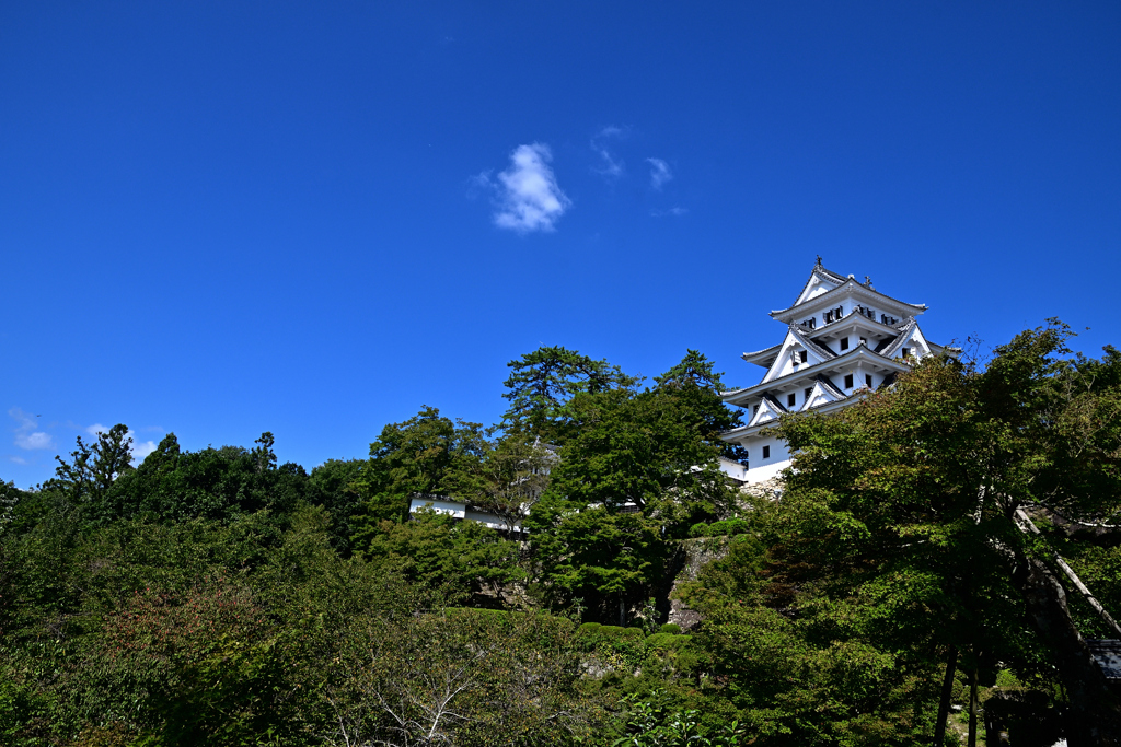 郡上八幡城２