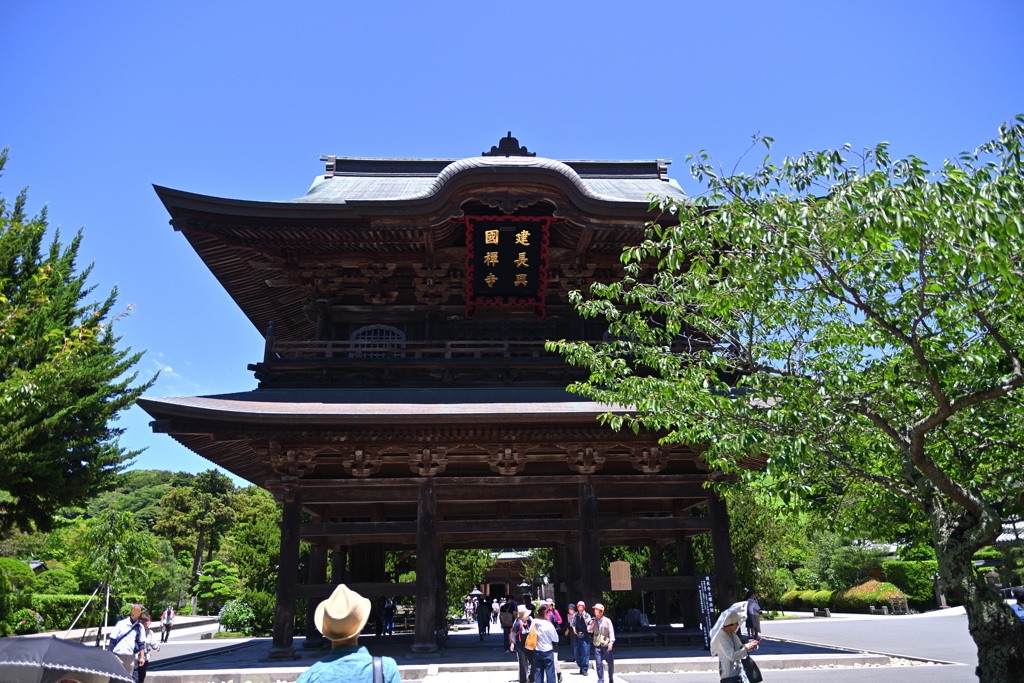 青葉と三門（建長寺）