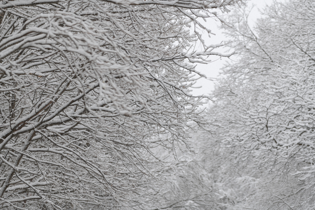 上北地方雪景色-6