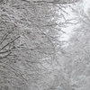 上北地方雪景色-6