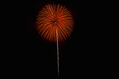 夏の夜に咲く花２６
