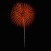 夏の夜に咲く花２６