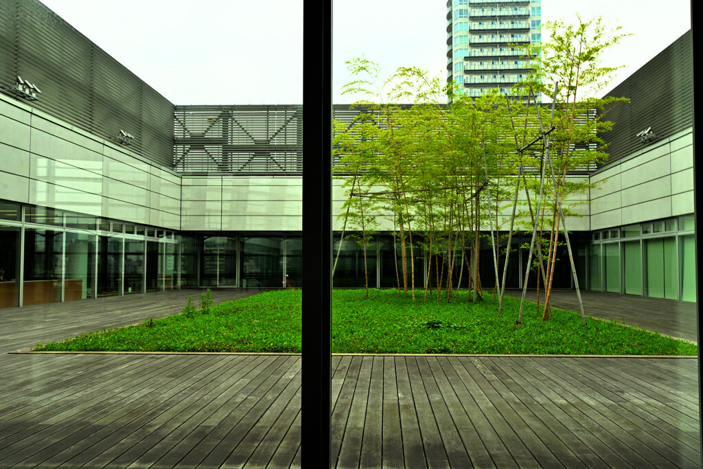 国立新美術館３