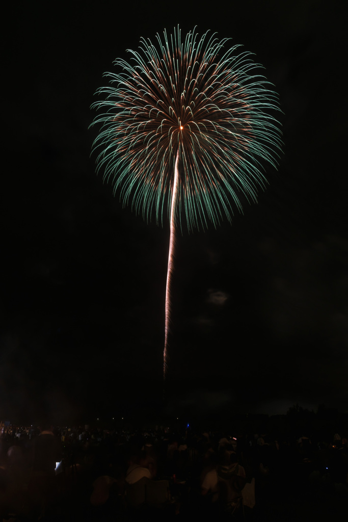 夏の夜に咲く花６１