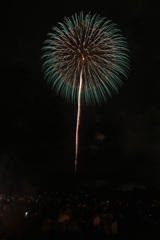 夏の夜に咲く花６１