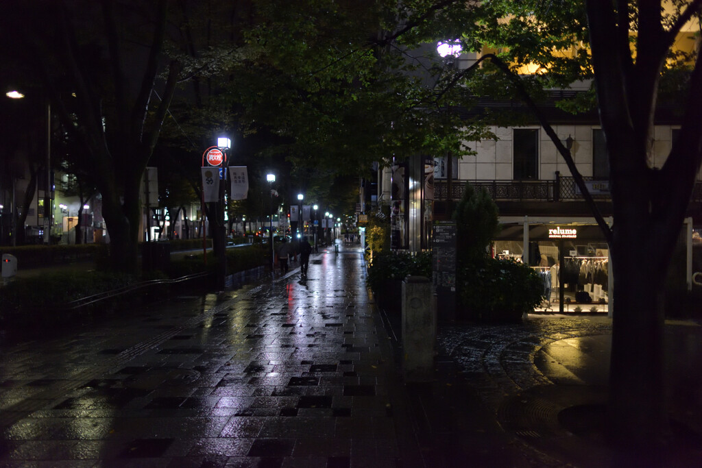 表参道の夜を彷徨う