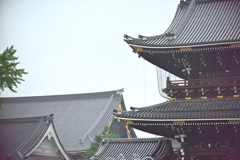 雨に霞む東本願寺