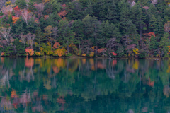 秋の配色（湯の湖）２