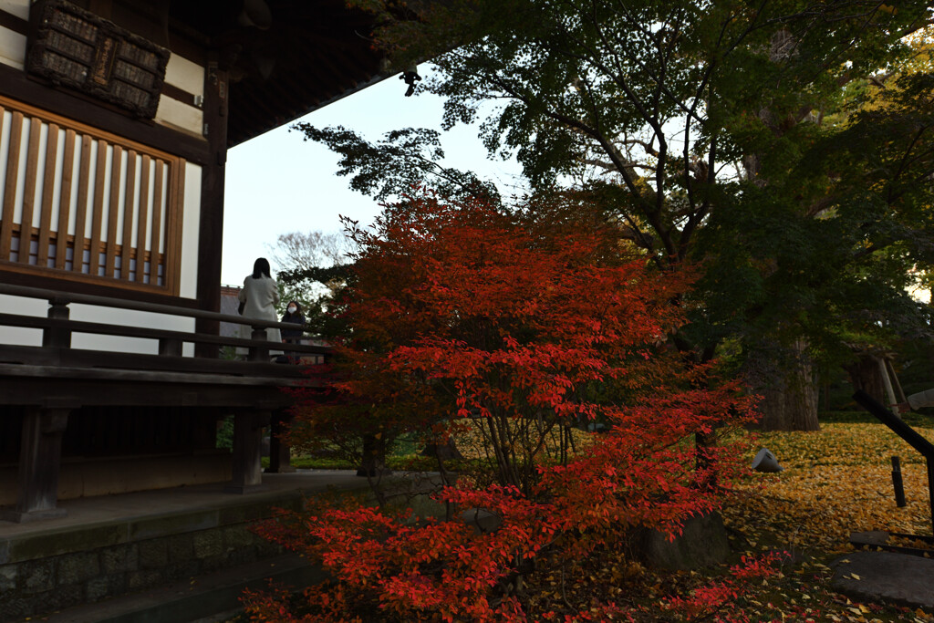 九品仏浄真寺（本堂）
