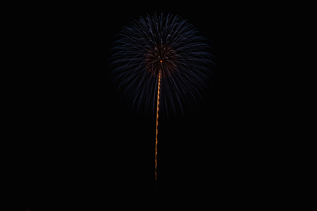 夏の夜に咲く花４２