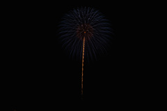 夏の夜に咲く花４２
