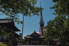 増上寺にて（2025夏）