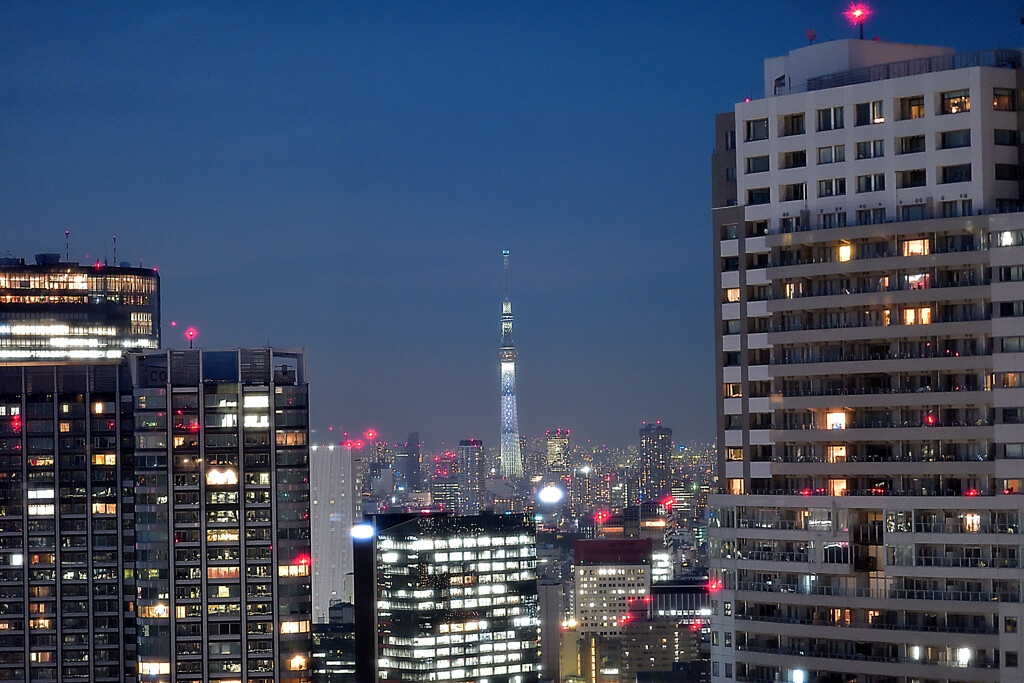 東京ビル群２