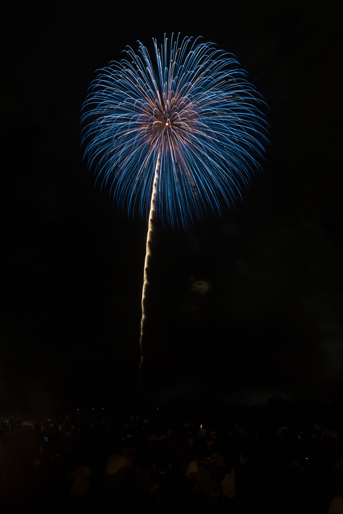 夏の夜に咲く花６０